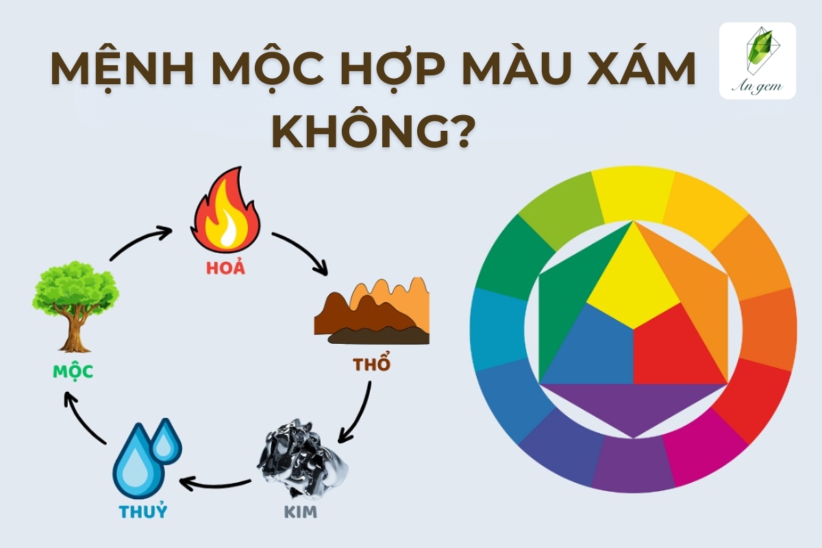 Mệnh Mộc hợp màu gì và kỵ màu gì?