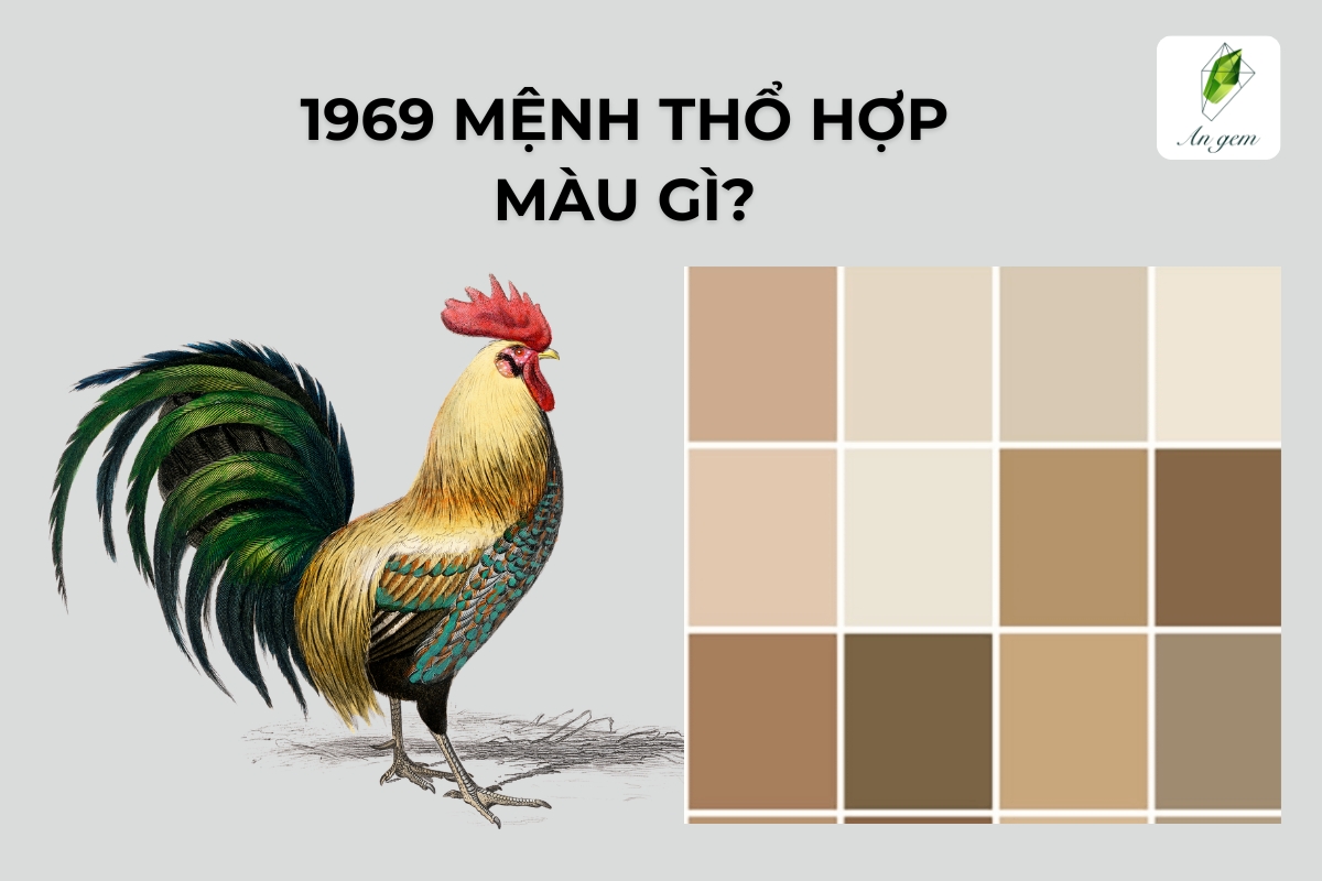 Người sinh năm 1969 mệnh thổ hợp màu gì, tuổi gì?