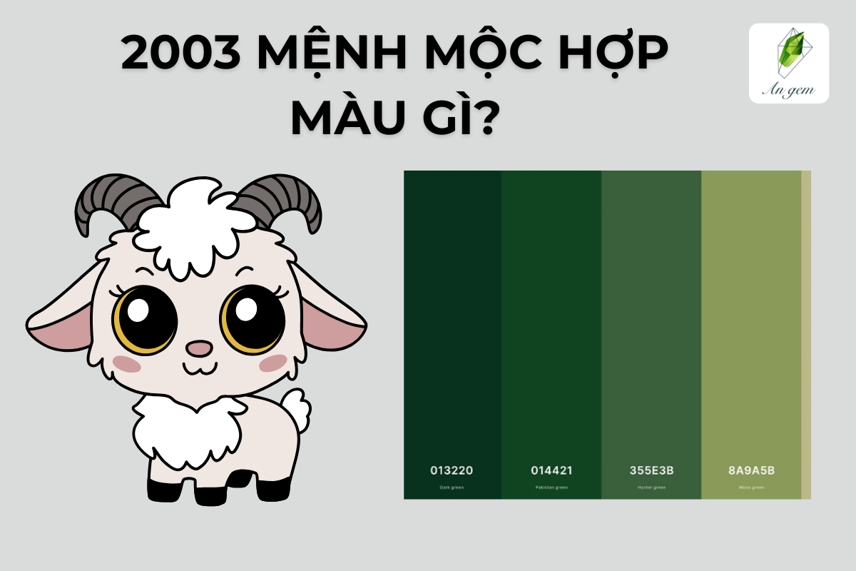 2003 mệnh Mộc hợp màu gì? Kỵ màu gì?