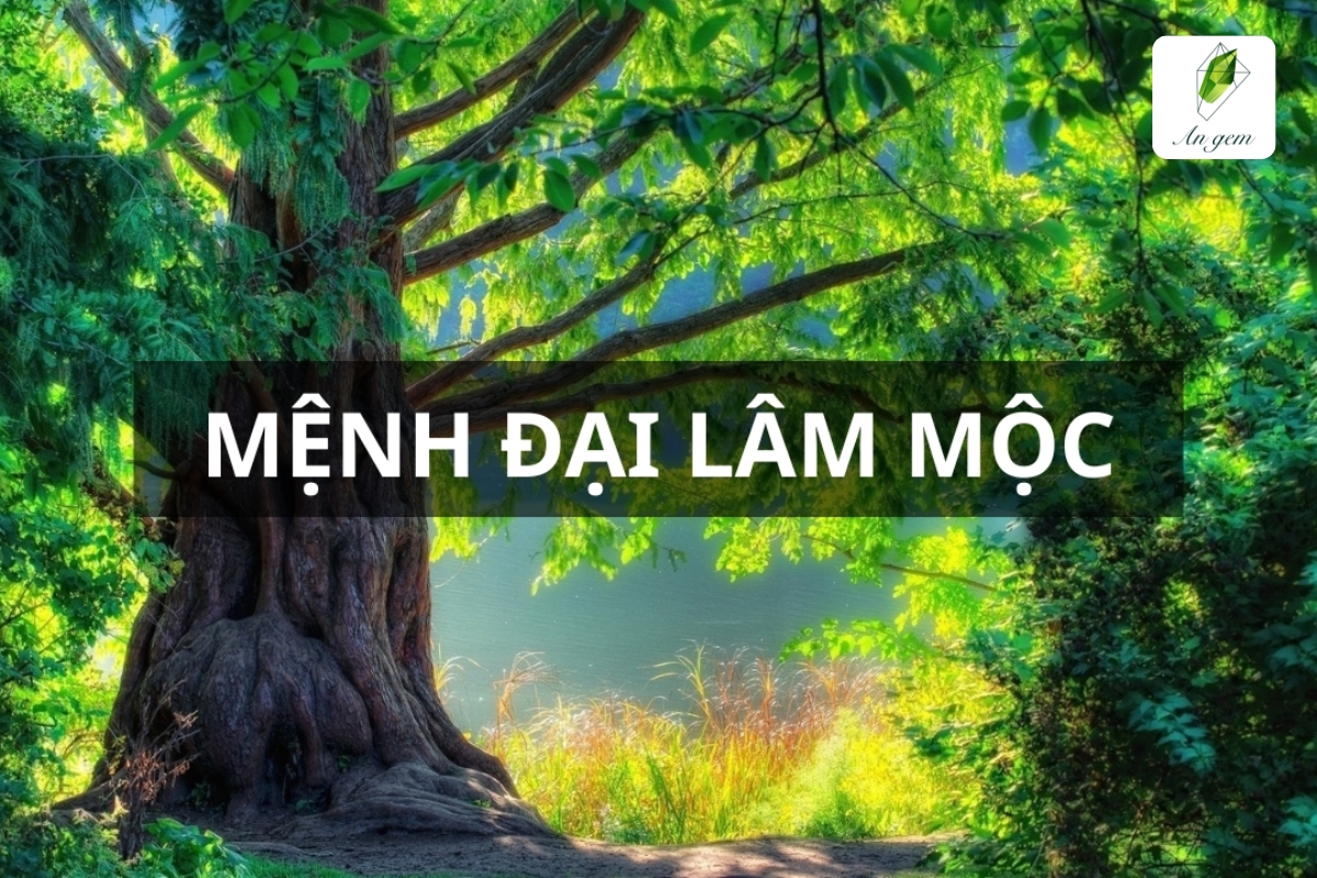 Mệnh Đại Lâm Mộc hợp màu gì? Phụ kiện phong thủy phù hợp cho mệnh Đại Lâm Mộc