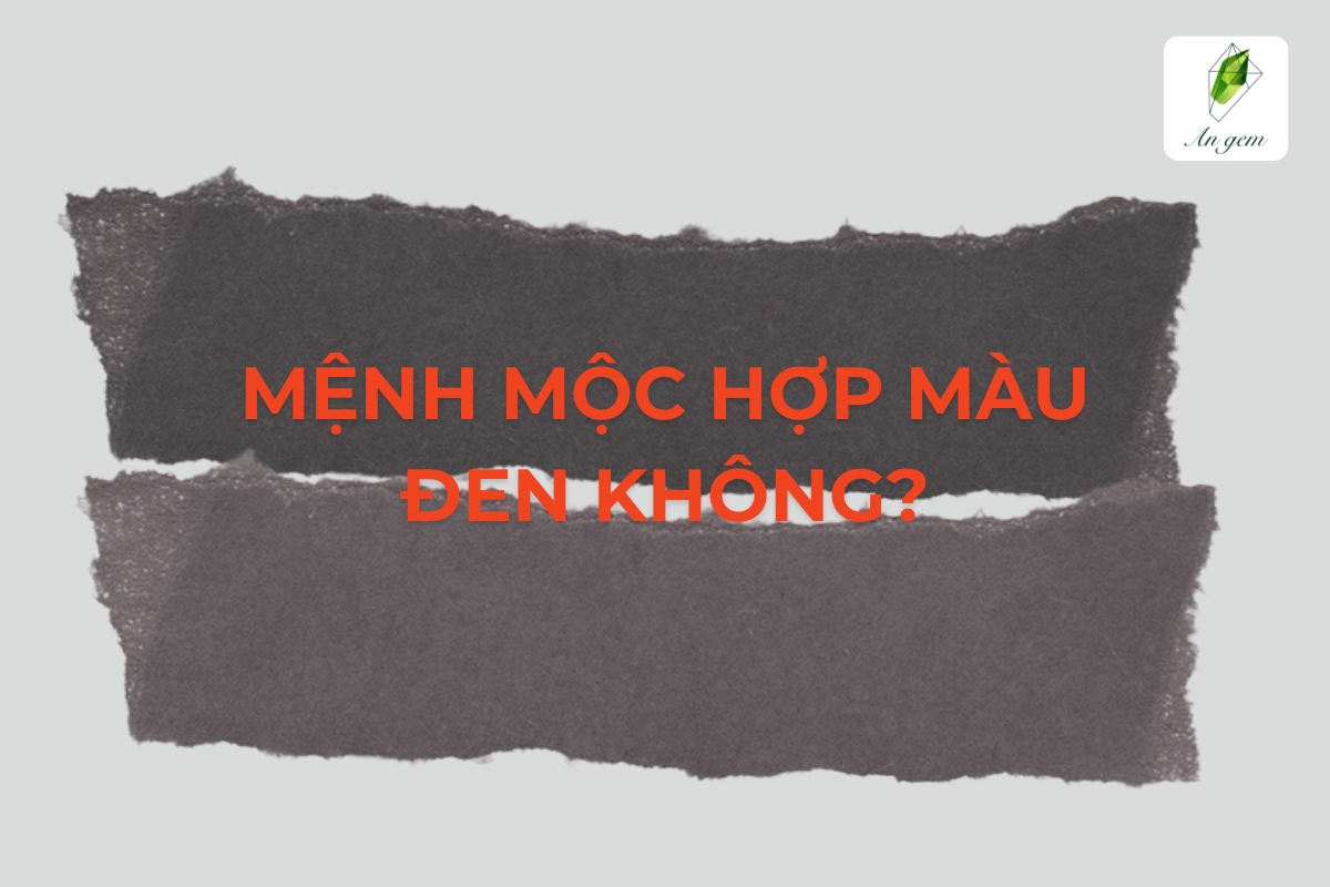 Giải mã: Mệnh Mộc hợp màu đen không?