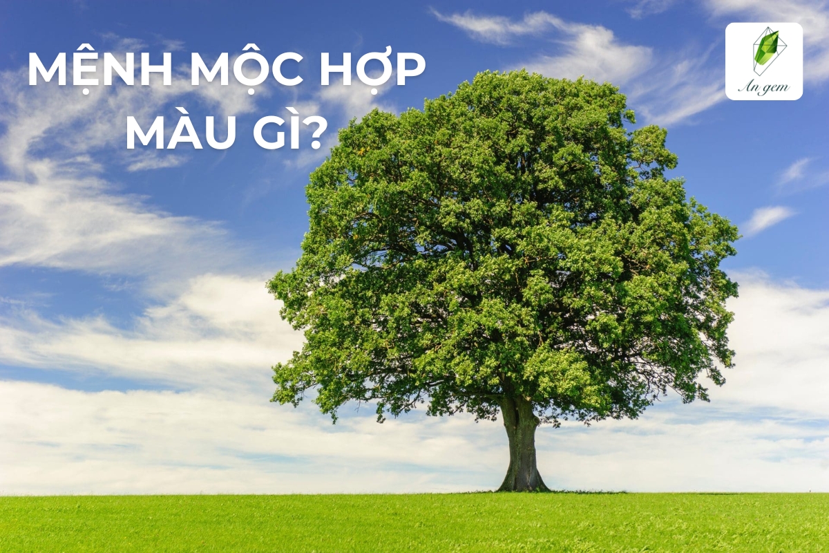 Mệnh Mộc hợp màu gì và kỵ màu gì?