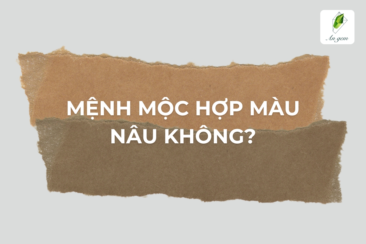 Mệnh Mộc hợp màu nâu không? Lưu ý khi sử dụng