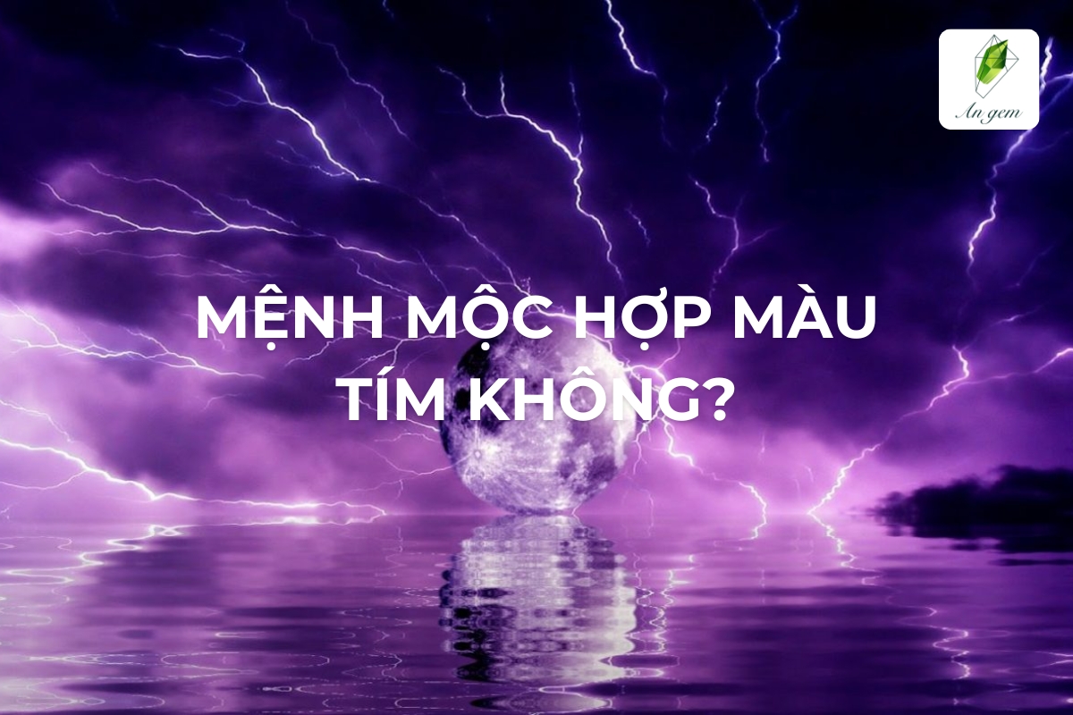 Mệnh Mộc hợp màu tím không? Giải mã phong thủy mới nhất 2025