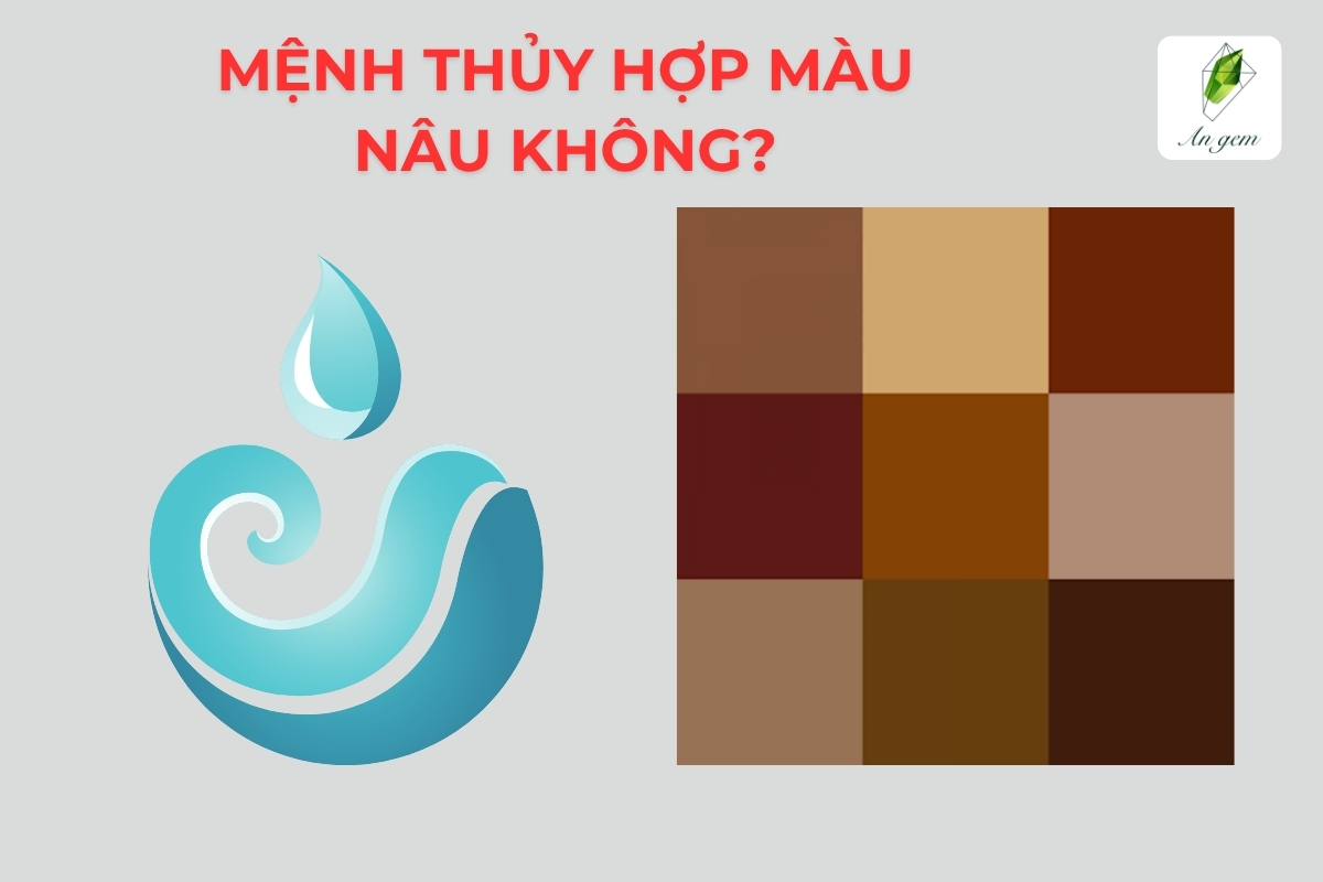 Giải mã phong thủy: Mệnh Thuỷ hợp màu nâu không?