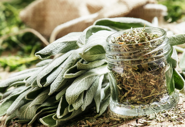 sage-la-gi